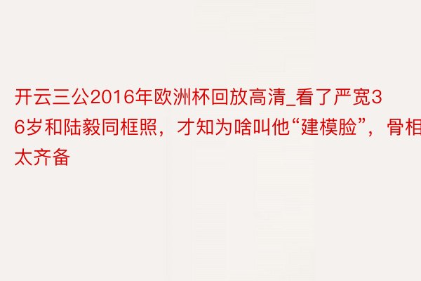 开云三公2016年欧洲杯回放高清_看了严宽36岁和陆毅同框照，才知为啥叫他“建模脸”，骨相太齐备